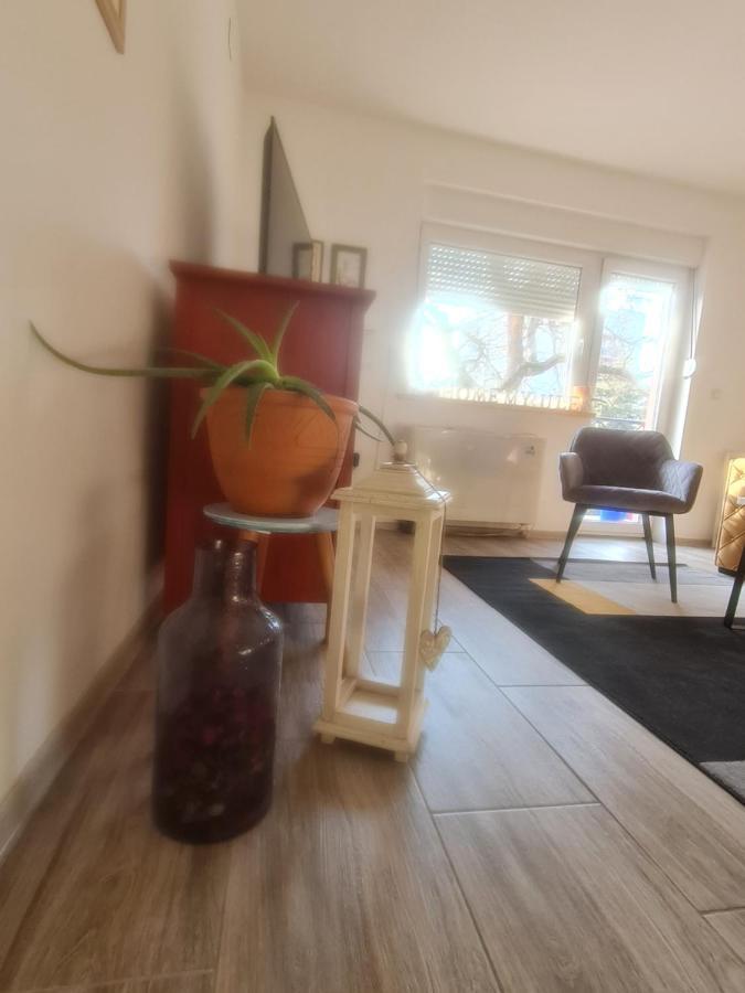 Apartman Karibo Сомбор Екстериор снимка
